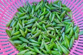 Đặc sản nhìn "khiếp vía" 200.000 đồng/kg, có tiền cũng khó mua 