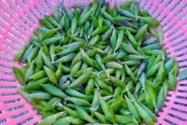 Đặc sản nhìn "khiếp vía" 200.000 đồng/kg, có tiền cũng khó mua 