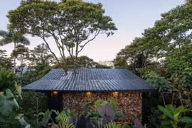 Độc đáo ngôi nhà với cây lớn xuyên mái giữa rừng 