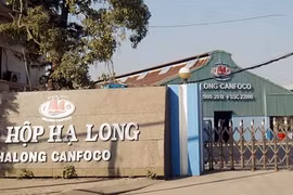 Công ty Đồ hộp Hạ Long lên tiếng vụ 120 tấn lợn bệnh được "phù phép"