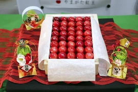 Cherry hơn 4 triệu đồng/quả có gì đặc biệt?