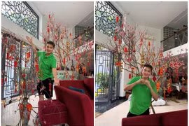 Cận cảnh biệt thự ngập hoa đào đón Tết của Đàm Vĩnh Hưng