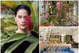 Bên trong ngôi nhà rực rỡ sắc hoa của nữ diễn viên phim "Mưa đỏ"