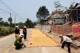 Công an cảnh báo hiểm họa phơi lúa dưới lòng đường