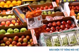 Liên Hợp Quốc cảnh báo giá thực phẩm toàn cầu có thể tăng 15% đến 20%