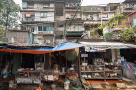 Khu tập thể Thanh Xuân Bắc xuống cấp ra sao trước đề xuất cải tạo?