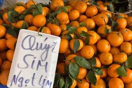 Quýt sim cuối vụ “cháy hàng”, tiểu thương bán không kịp
