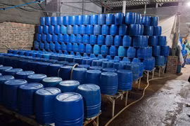 Khởi tố đối tượng dùng chất độc để sản xuất hơn 500 tấn giá đỗ