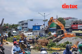 Đốn hạ nhiều cây xanh phục vụ thi công nhà ga ngầm tuyến metro số 2 TP HCM