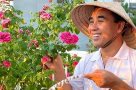 Vườn hồng "bạc tỷ" nhiều người mơ cả đời của MC Quyền Linh