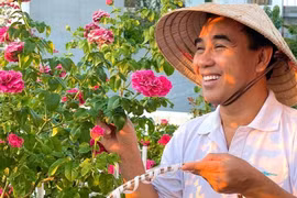 Vườn hồng "bạc tỷ" nhiều người mơ cả đời của MC Quyền Linh