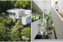 Biệt thự hơn 700m2 tặng bố mẹ về hưu của chàng trai 9X 