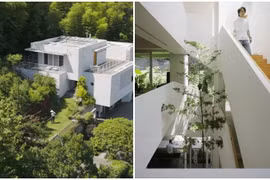 Biệt thự hơn 700m2 tặng bố mẹ về hưu của chàng trai 9X 