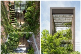 Ngắm nhà Bắc Ninh xanh mướt từ trong ra ngoài trên báo Mỹ