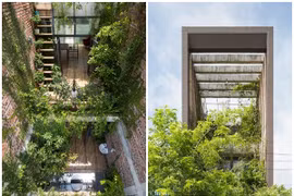 Ngắm nhà Bắc Ninh xanh mướt từ trong ra ngoài trên báo Mỹ