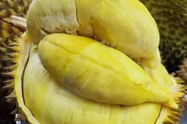 Sầu riêng loạn giá, chỗ vài chục, nơi cả trăm nghìn/kg