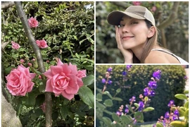 Bên trong nhà vườn ngập rau trái của "Út Ráng" Kim Hiền tại Mỹ 