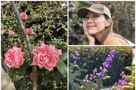 Bên trong nhà vườn ngập rau trái của "Út Ráng" Kim Hiền tại Mỹ 