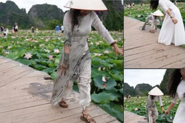 Đi chụp ảnh hồ sen, hội chị em trải qua kiếp nạn 