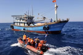 Thủ tướng giao Bộ Quốc phòng chủ trì xử lý các tàu cá "3 không"