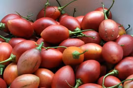 Loại quả đắt bậc nhất thế giới, Việt Nam trồng đại trà thành đặc sản 