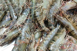 5 dấu hiệu "tôm tiêm hóa chất" rẻ mấy cũng không mua 