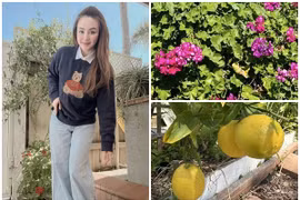 Cận cảnh cơ ngơi rực rỡ sắc hoa tại Mỹ của Vy Oanh 