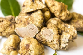 Đâu là loại rau đắt nhất thế giới? 