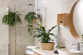 4 vị trí trong nhà không nên đặt cây cảnh 