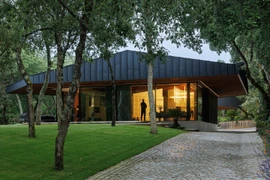 Bên trong ngôi nhà 1.200 m2 ẩn mình dưới tán cây