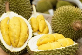 Hé lộ nguồn gốc sầu riêng giá rẻ đổ bộ Hà Nội