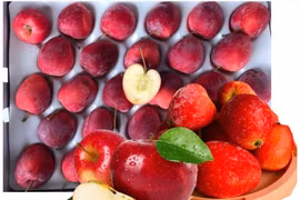 Táo cherry đắt gấp 2–3 lần táo thường vẫn "cháy hàng" 