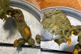 Làm kẹo nougat đón Tết, cô gái xinh đẹp nhận “cái kết đắng”