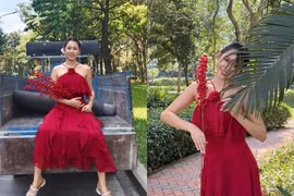 Việt Phương Thoa gợi ý tạo dáng chụp ảnh Tết khiến ai cũng bật cười