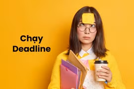 Hội nhóm “chạy deadline xuyên Tết”: Người trẻ không thực sự nghỉ ngơi