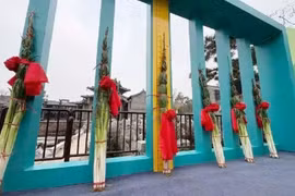 Kinh ngạc cây hành lá khổng lồ dài hơn 2 mét