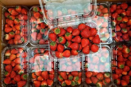 Dâu tây 'nhuộm đỏ' chợ Hà Nội, giá rẻ chưa từng có