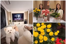 Cận cảnh cơ ngơi mới đầy phong cách của Hoa hậu Kỳ Duyên