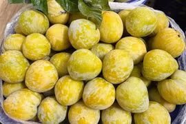 Mận lạ Trung Quốc 450.000 đồng/kg, khách tranh nhau mua