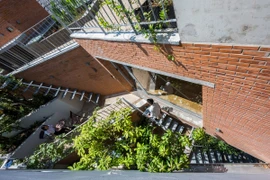 Báo Mỹ ca tụng nhà phố xanh từ ngoài vào trong giữa đô thị TP HCM 