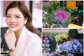 Căn nhà rực rỡ sắc hoa của Hoa hậu Phan Hoàng Thu 