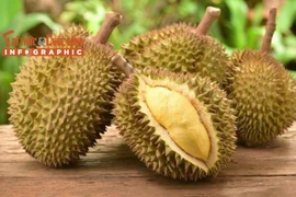 [INFOGRAPHIC] Sầu riêng đắt nhất thế giới hơn 1 tỷ đồng/trái