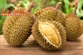 [INFOGRAPHIC] Sầu riêng đắt nhất thế giới hơn 1 tỷ đồng/trái