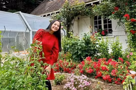 Nhà vườn 4.000m2 đẹp như tranh vẽ của nghệ sĩ Lê Vi