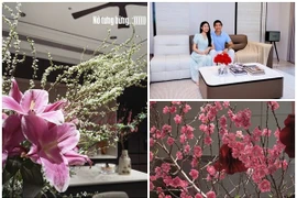 Bên trong biệt thự ngập sắc hoa đón Tết của Đoàn Văn Hậu