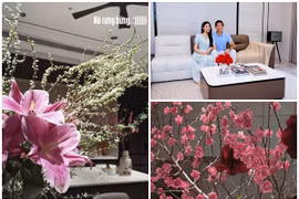 Bên trong biệt thự ngập sắc hoa đón Tết của Đoàn Văn Hậu