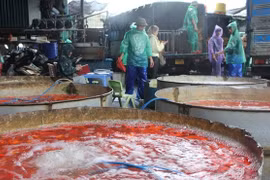 Chợ cá lớn nhất Hà Nội nhộn nhịp trước ngày ông Công ông Táo