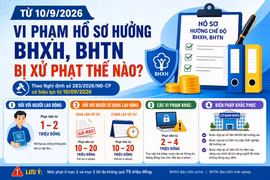 [INFOGRAPHIC] Từ 10/9/2026 vi phạm hồ sơ hưởng BHXH, BHTN bị xử phạt thế nào?