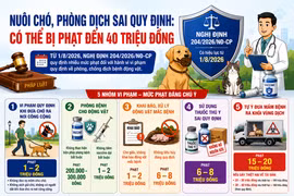 [INFOGRAPHIC] Các mức phạt mới trong lĩnh vực thú y ra sao?