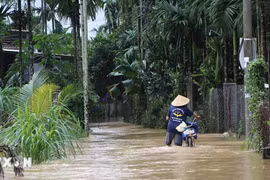 Mưa lớn gây ngập cục bộ, chia cắt một số khu vực miền núi Quảng Trị